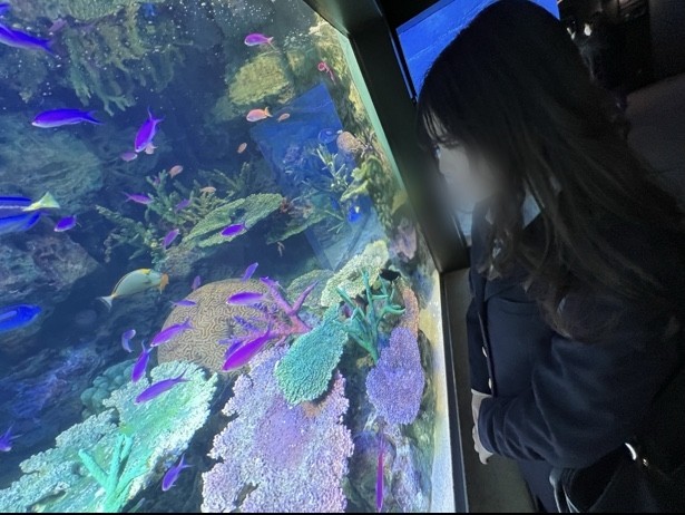 FC2-PPV-2851908 – [Appearance] Shock runs!  – !  – With almost no experience with men, J○'s modern girl learned about pleasure from spring and steadily climbed the stairs to adulthood